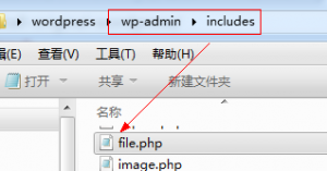 定制原版WordPress，让WordPress完美适用于百度应用引擎