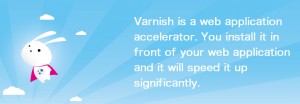 varnish01